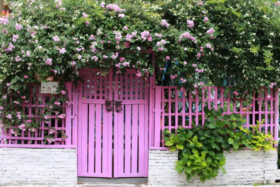 “寵妻狂魔”打造全手工花園，順手開(kāi)創(chuàng)無(wú)數(shù)網(wǎng)紅爆款···