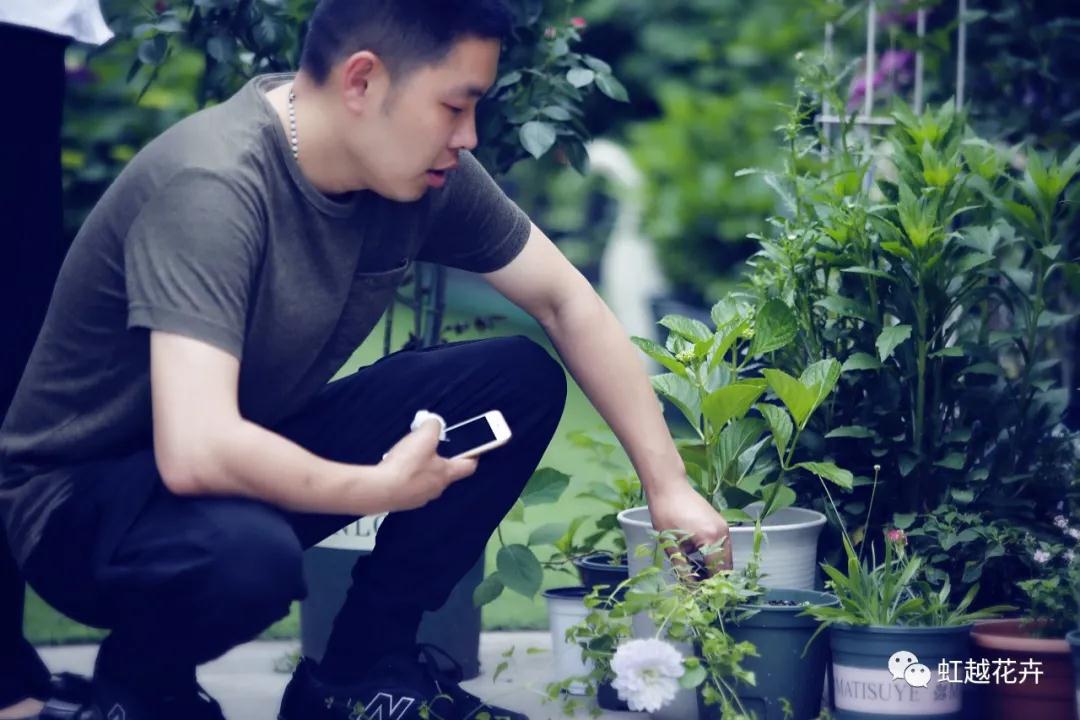 史上最硬核花園主，是怎樣拿下三年繡球比美冠軍的？