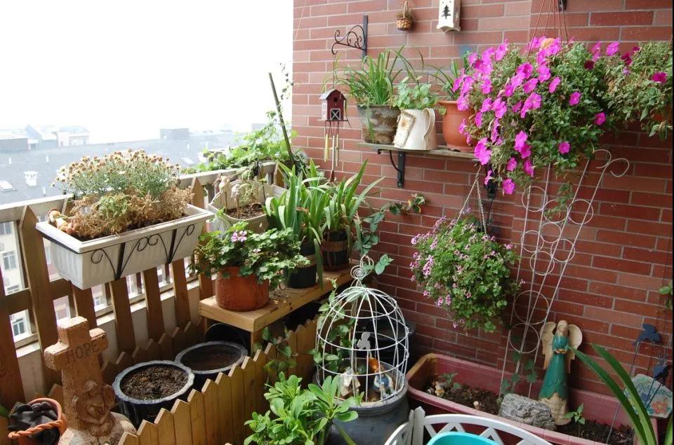 什么技巧可以讓“偽花癡”快速進(jìn)階為園丁達(dá)人？