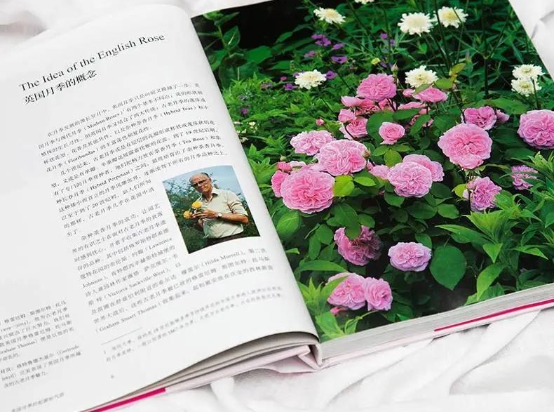首發(fā)出版！這本大衛(wèi)奧斯汀親筆的“玫瑰圣經(jīng)”終于引進(jìn)了