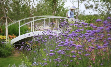 第10屆花博會，虹越喜獲11項(xiàng)大獎(jiǎng)！