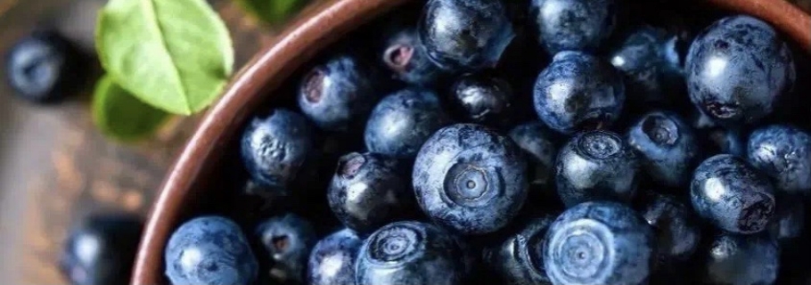 想要從0開始學(xué)種藍莓？這份“大神指南”送給你~