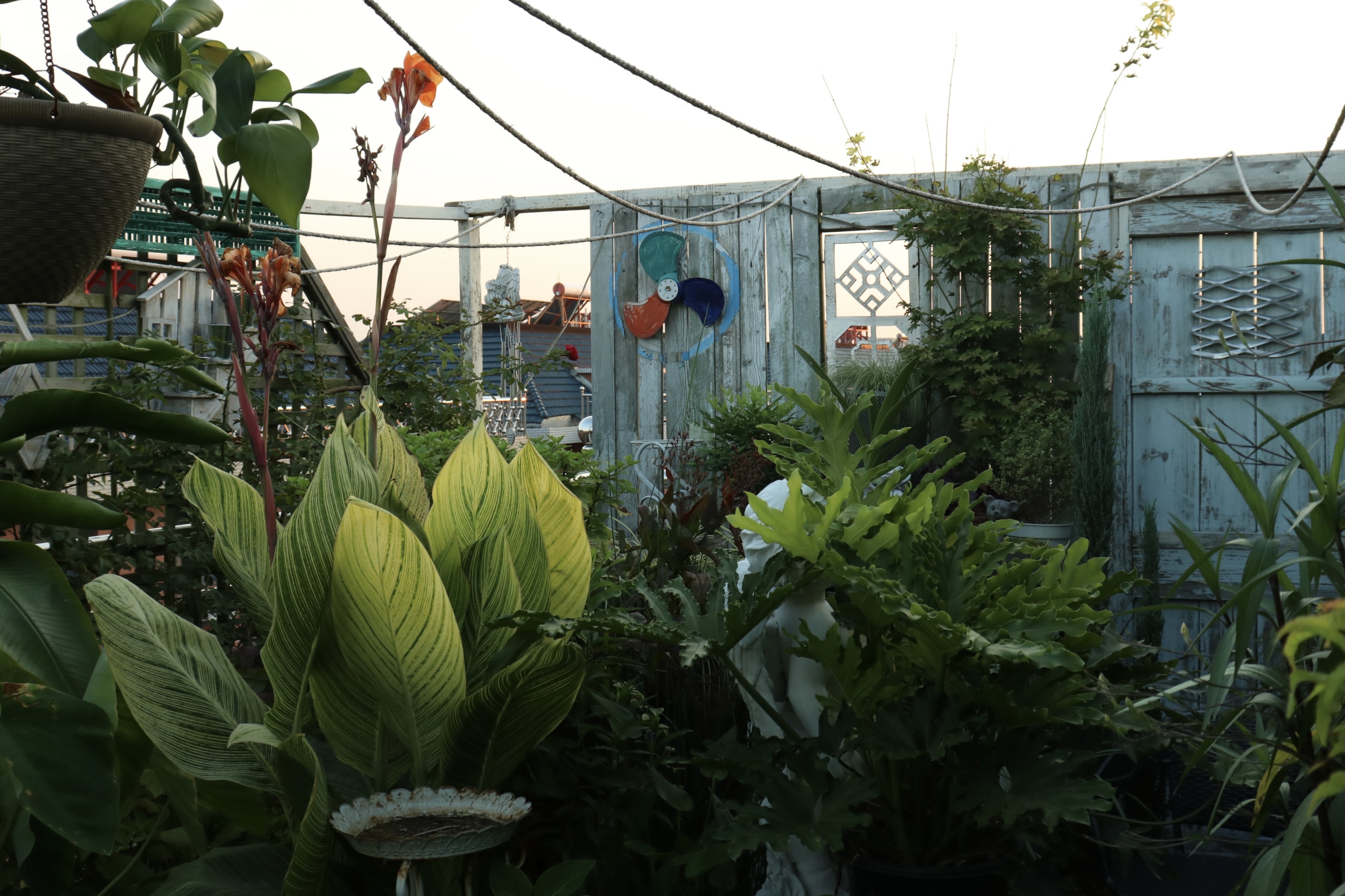 0元爆改水泥天臺(tái)，高手竟在我身邊？！