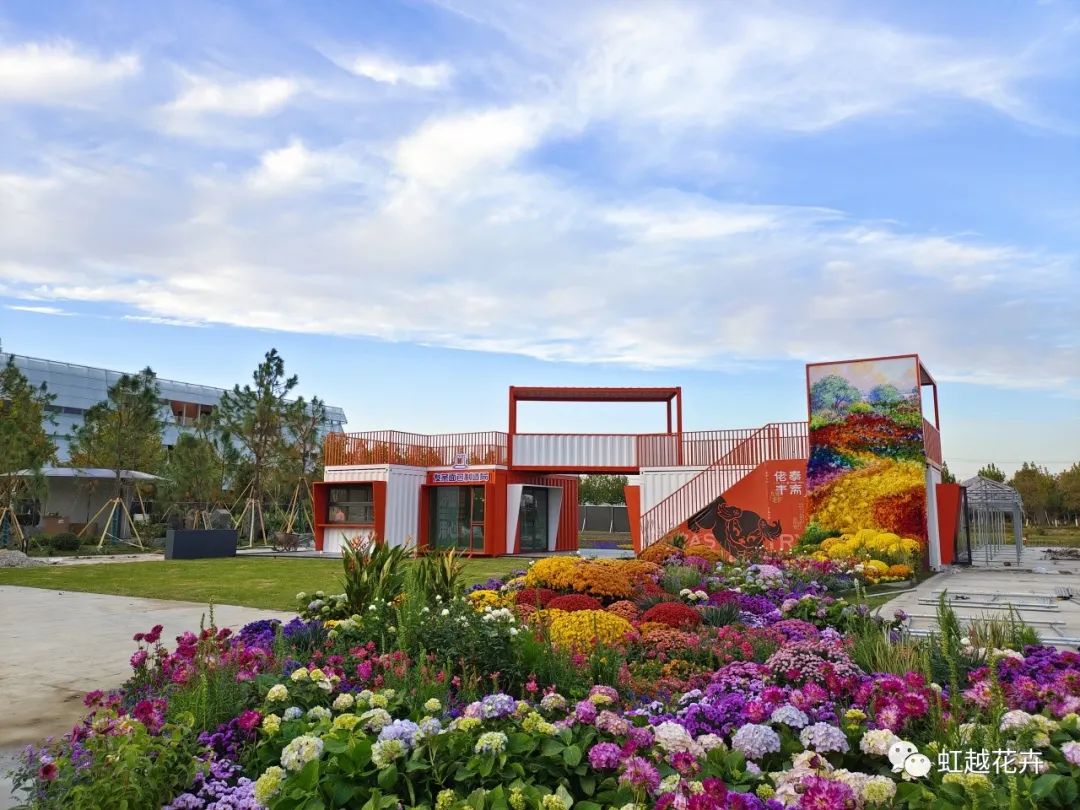 我們在烏鎮(zhèn)帶來了一場花花盛宴，華美絢麗如秋日油畫！