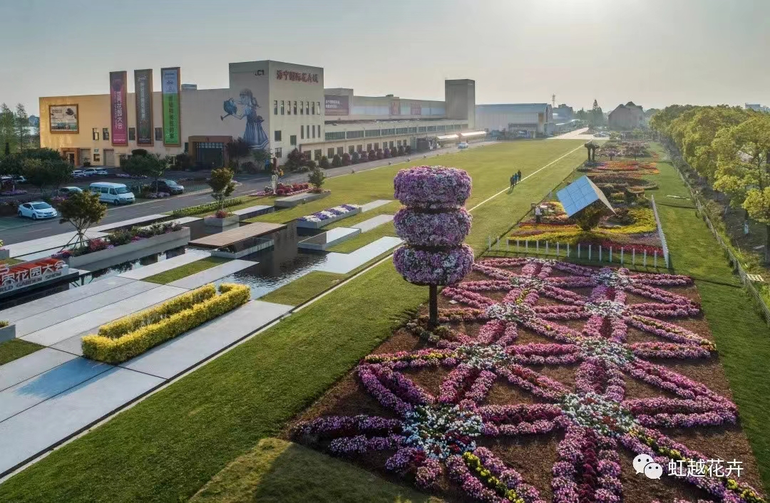 人才招募|一起開(kāi)啟虹越花卉區(qū)域市場(chǎng)新紀(jì)元！