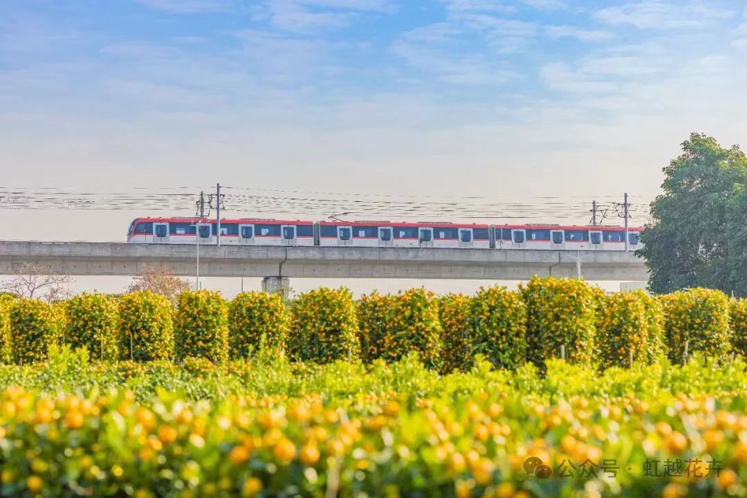 3月又有新花展！還有園藝大咖齊聚，解鎖美麗生活新方式